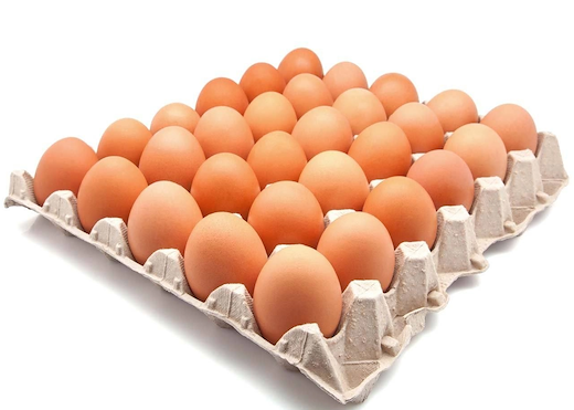 30er Eiertablett Pulp