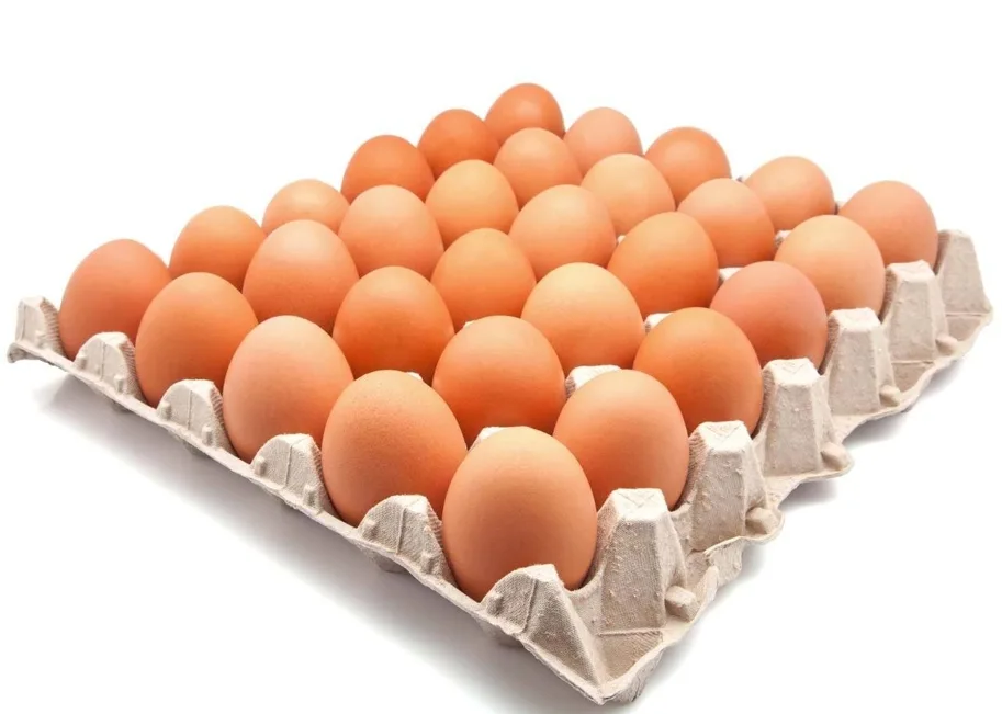 30er Eiertablett Pulp