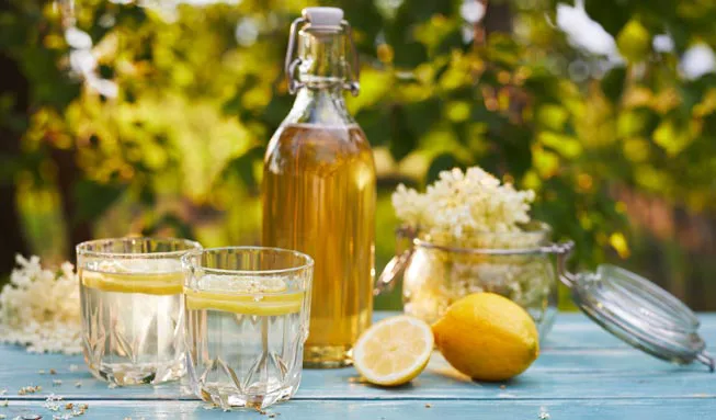 Hausgemachter Sirup (Holunder, 0.5 l)