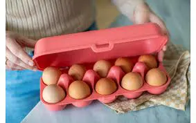 Wiederverwendbare Eierbox 6er